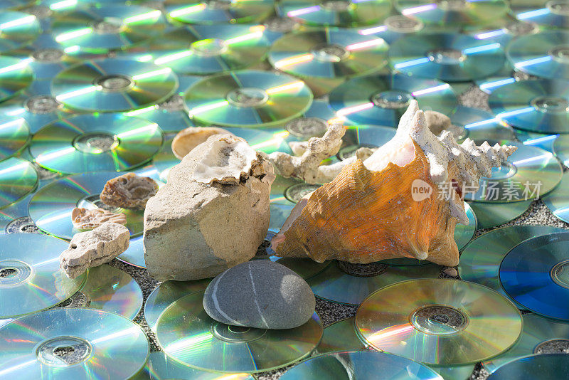 贝壳和岩石上的阳光反射如同在水中的彩色CD/DVD作为纹理背景